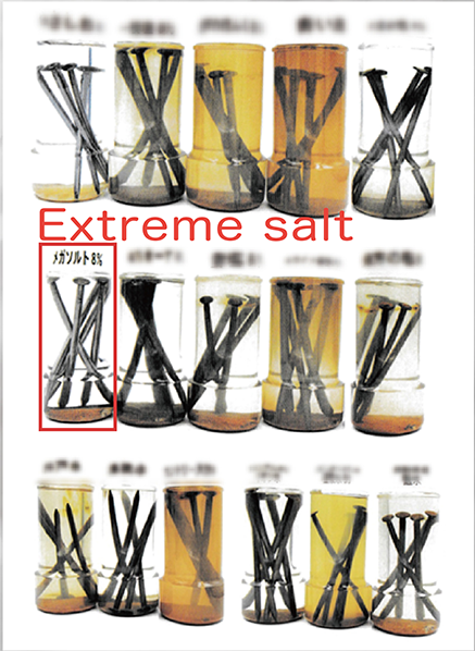 extreme salt（メガソルトR）は錆びにくい塩です